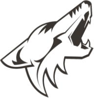 Arizona Coyotes